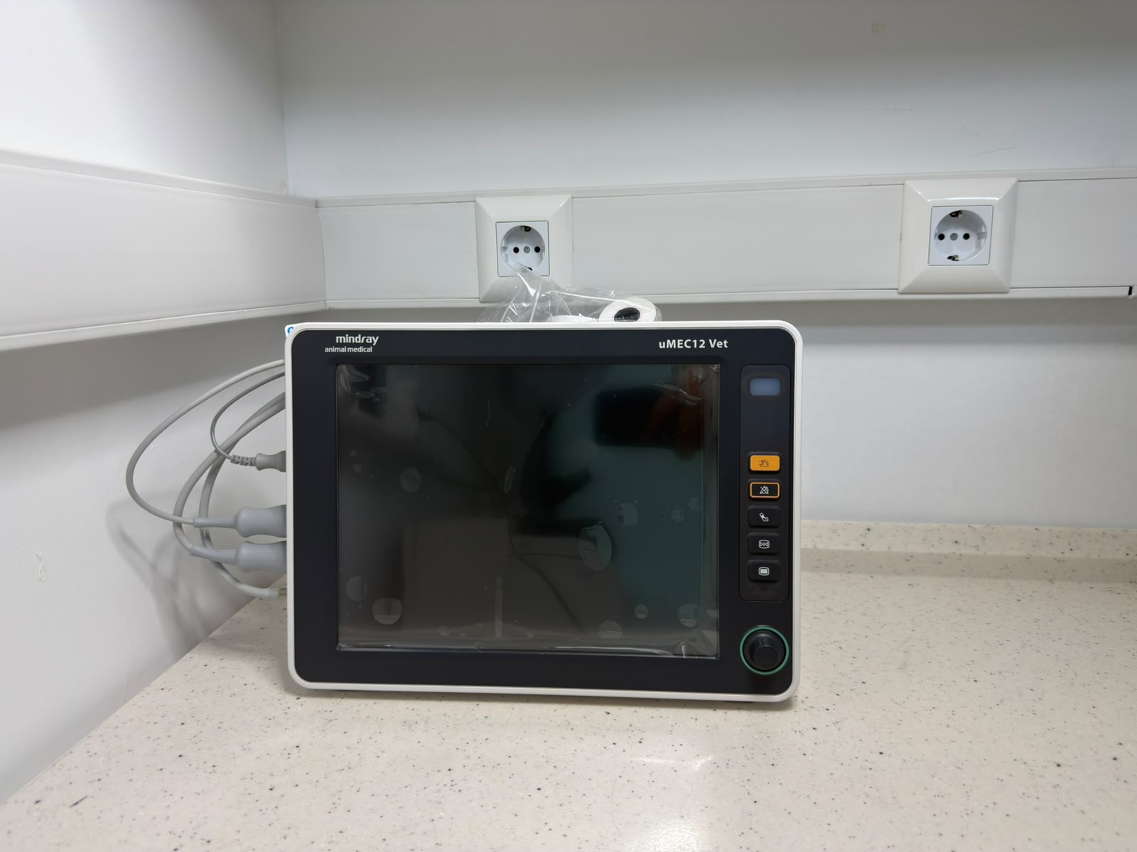 Hasta başı monitörü